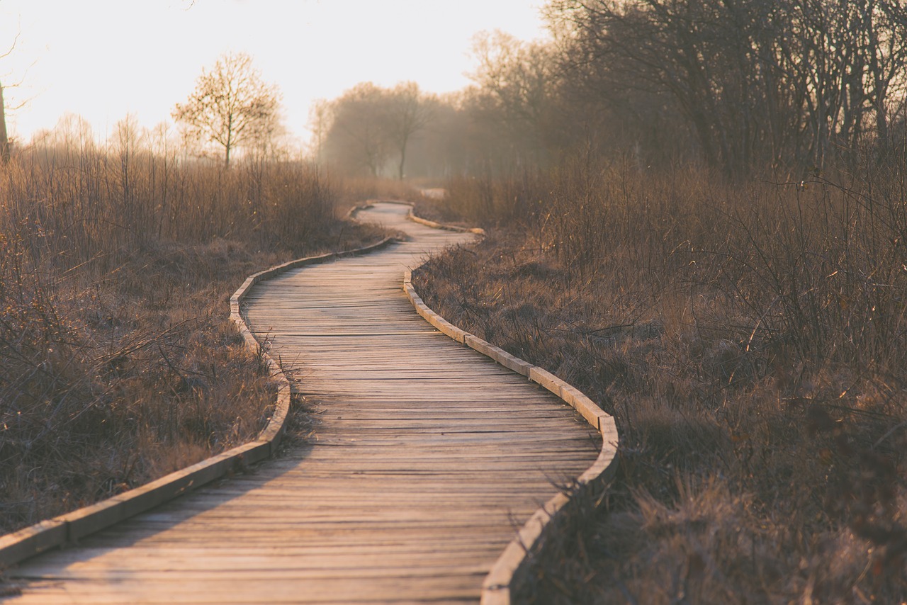path-1839000_1280