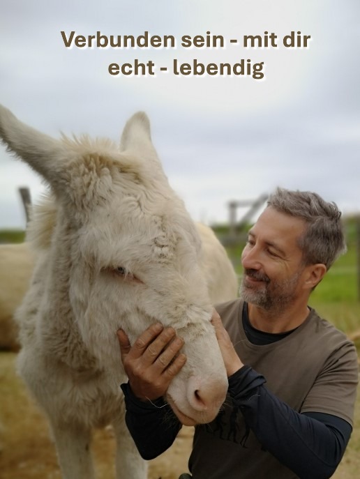 Homepage